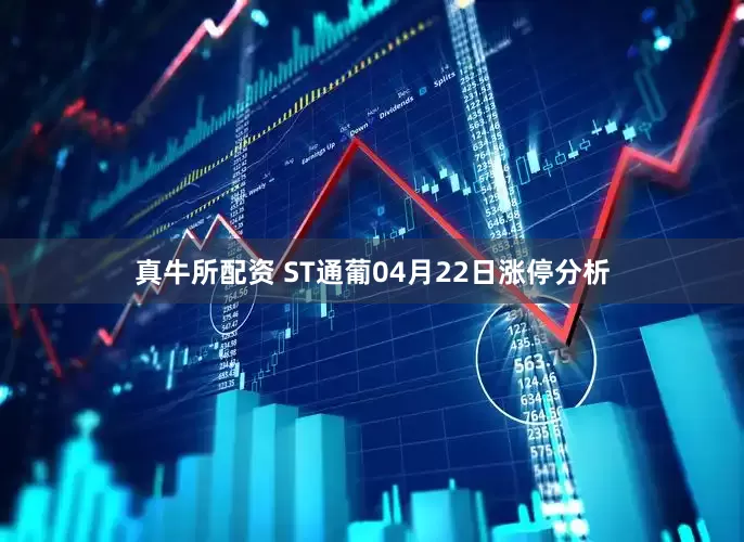 真牛所配资 ST通葡04月22日涨停分析