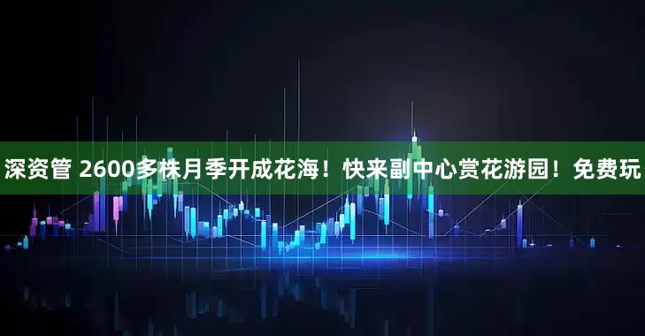 深资管 2600多株月季开成花海！快来副中心赏花游园！免费玩