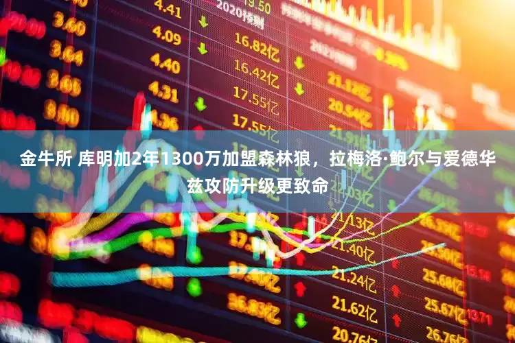 金牛所 库明加2年1300万加盟森林狼，拉梅洛·鲍尔与爱德华兹攻防升级更致命